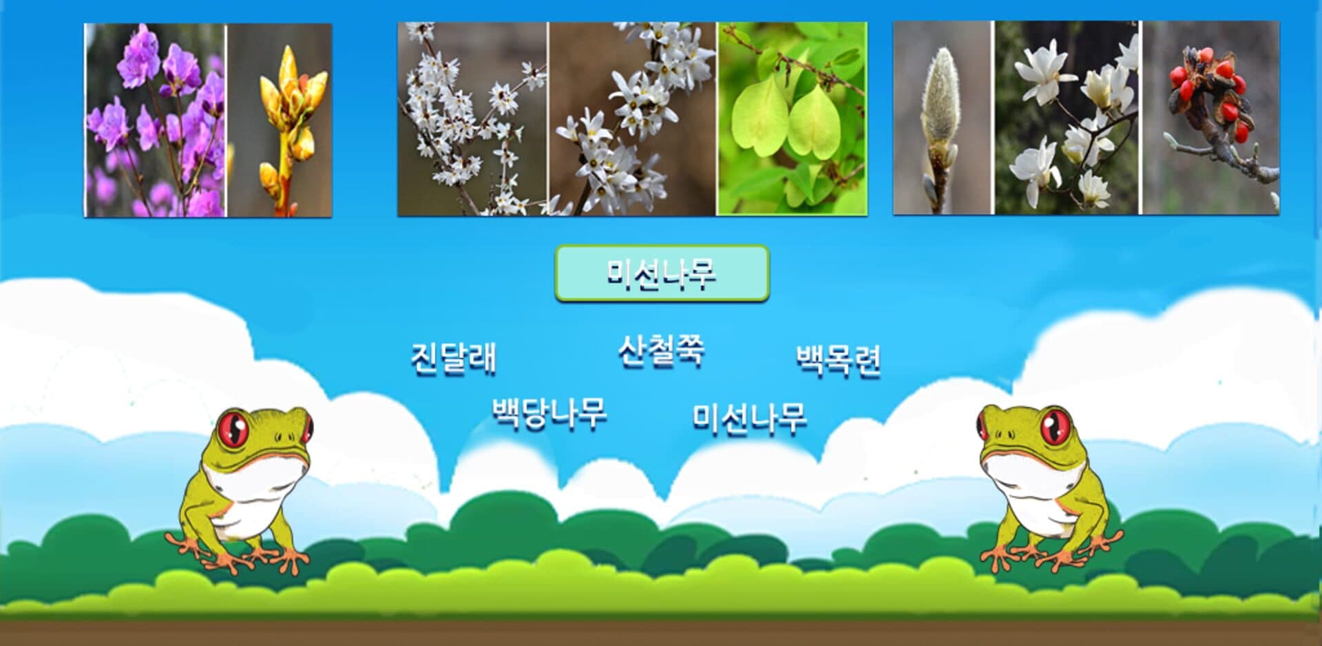 Korean Flower Name Game cover art