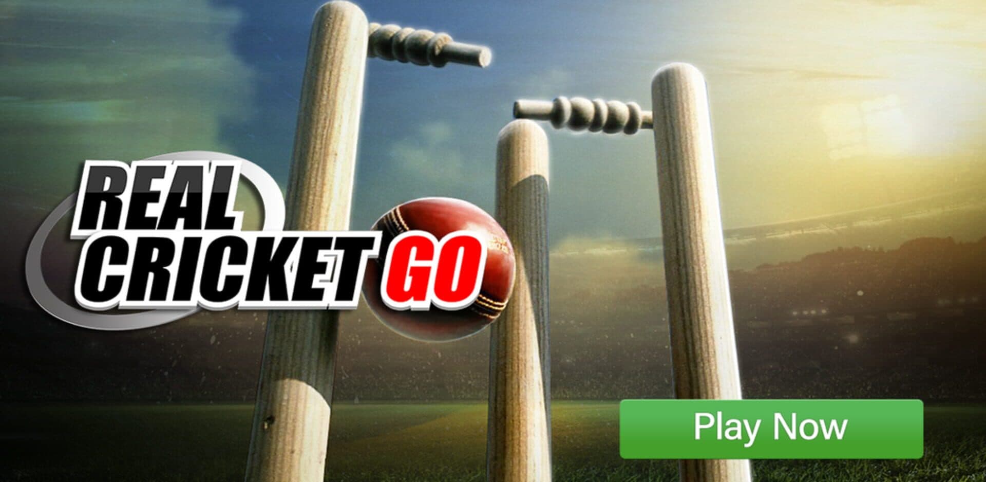 Real Cricket Go cover art