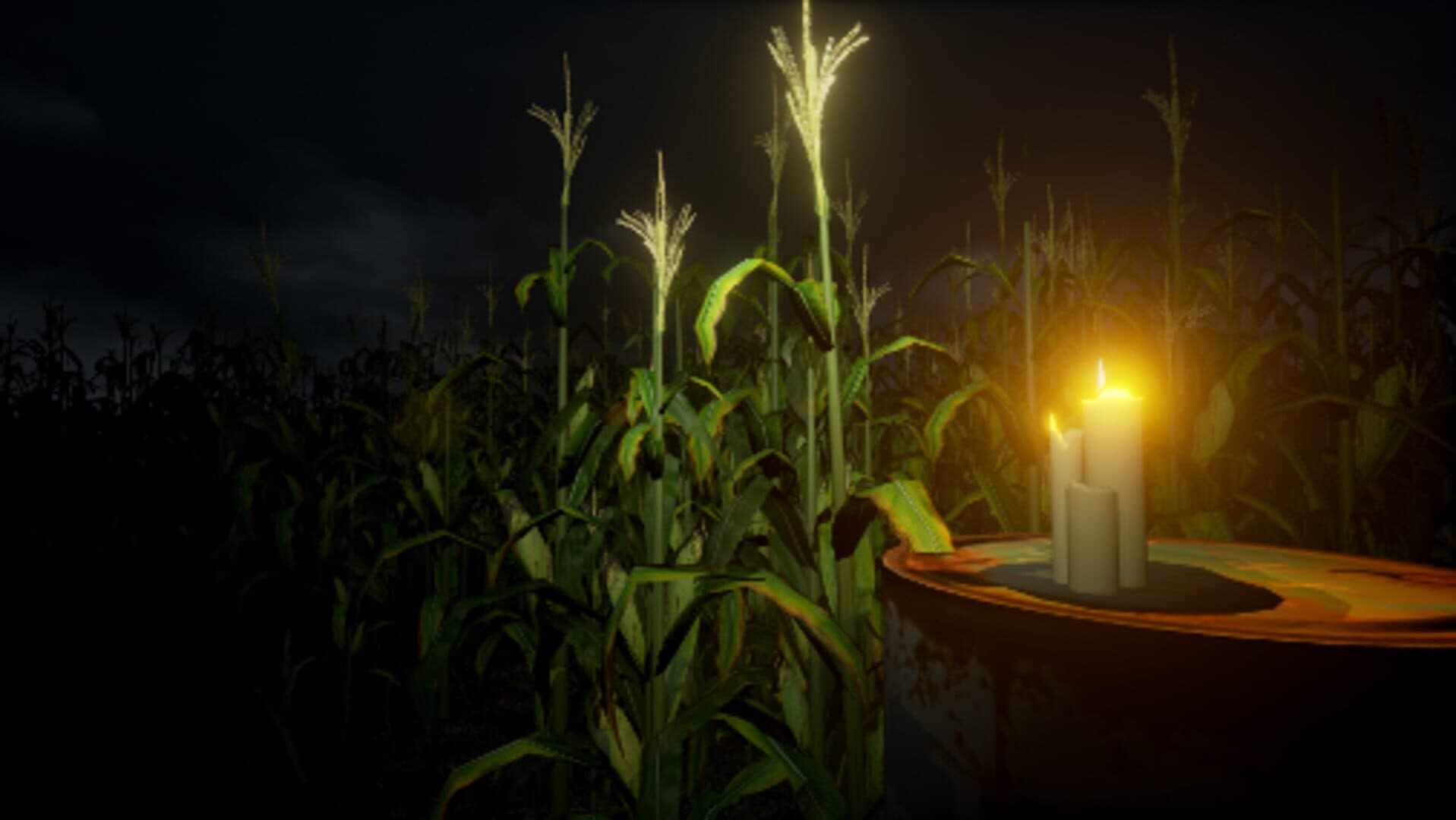 The Field cover art