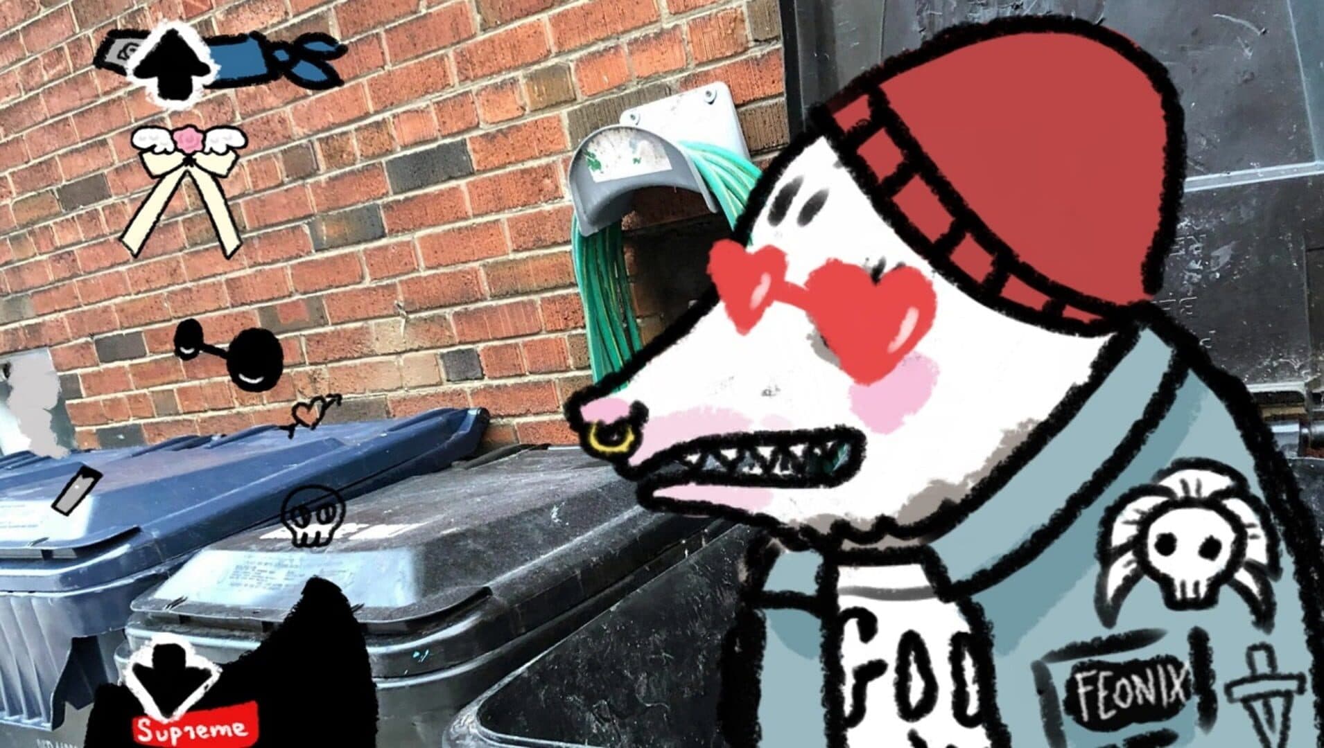 Possum Dress Up cover art