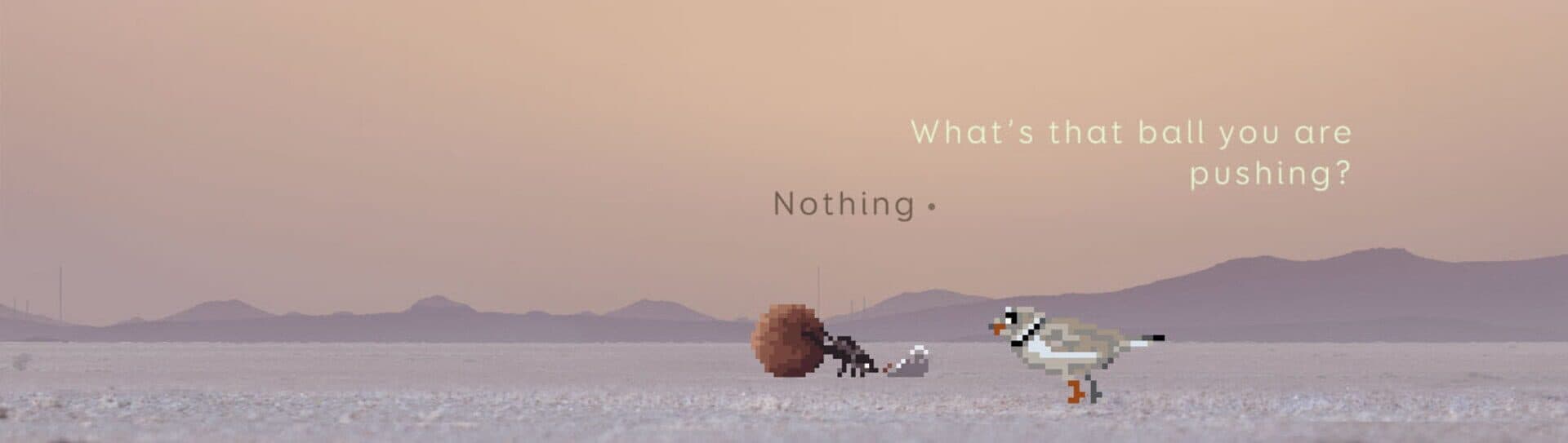 Plover cover art