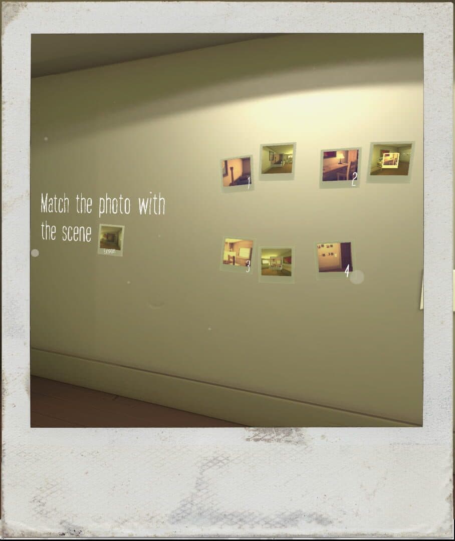 The Polaroid cover art