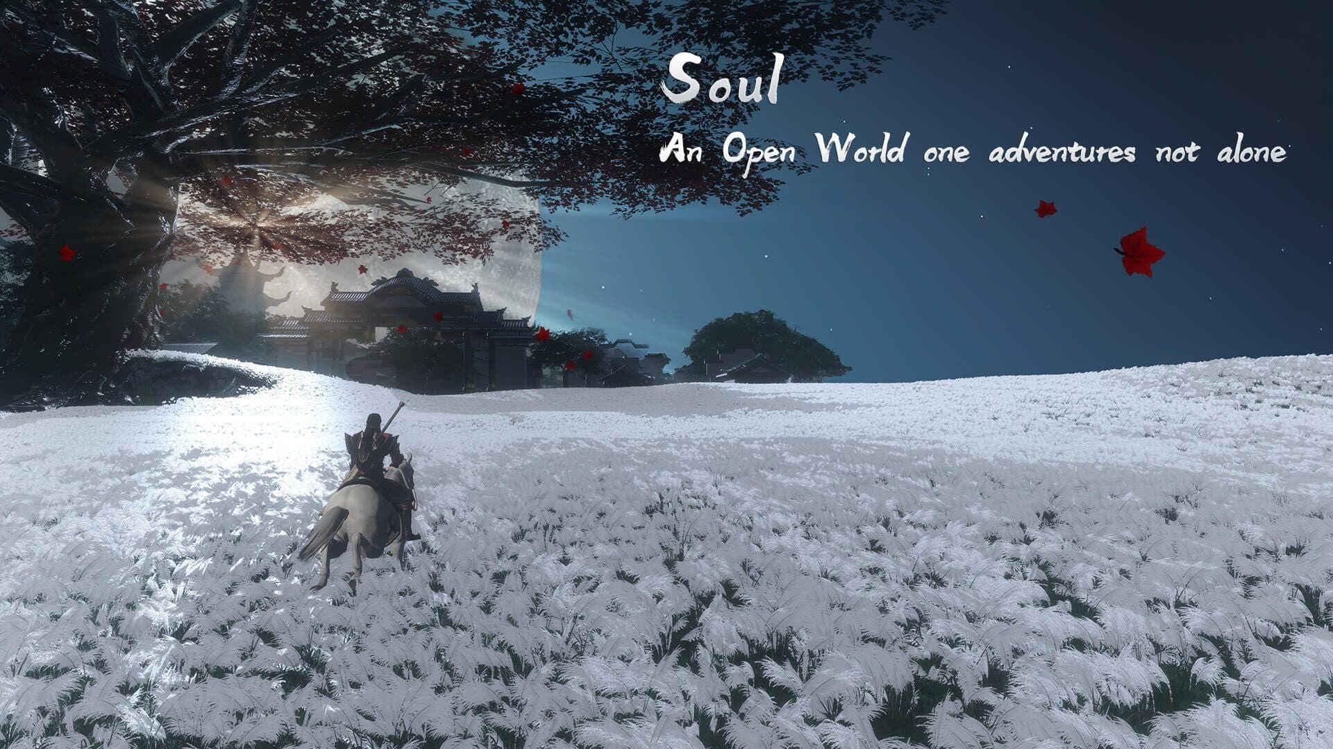 Soul cover art