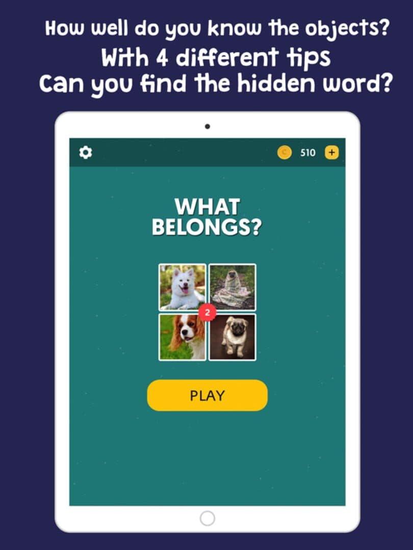 What Belongs?Find Hidden Words cover art