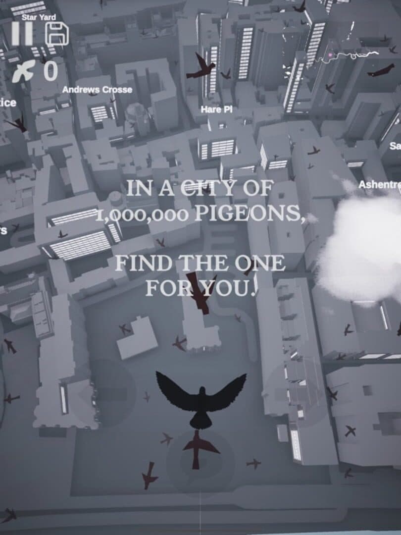 Pigeon: A Love Story cover art