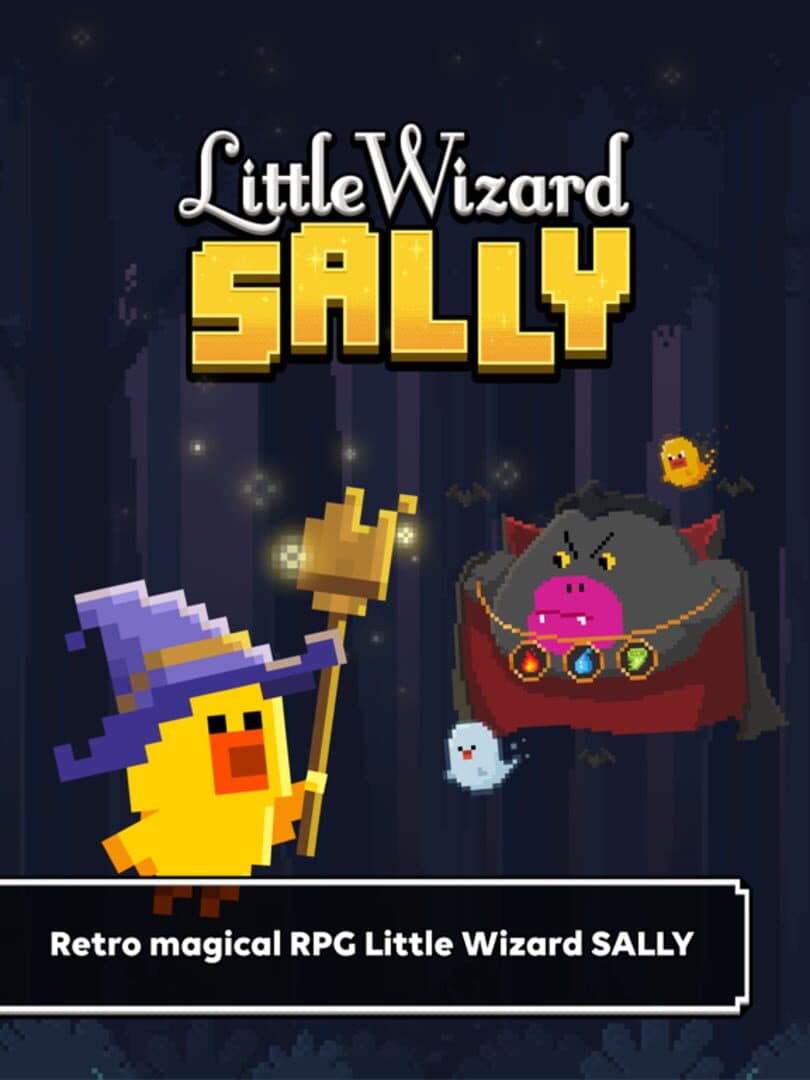 Little Wizard Sally cover art