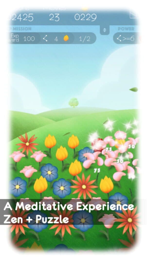 Into the Winds: Zen Flowers cover art