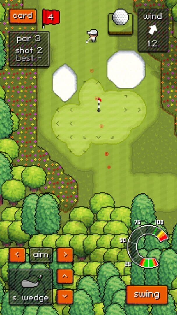 Pixel Pro Golf cover art