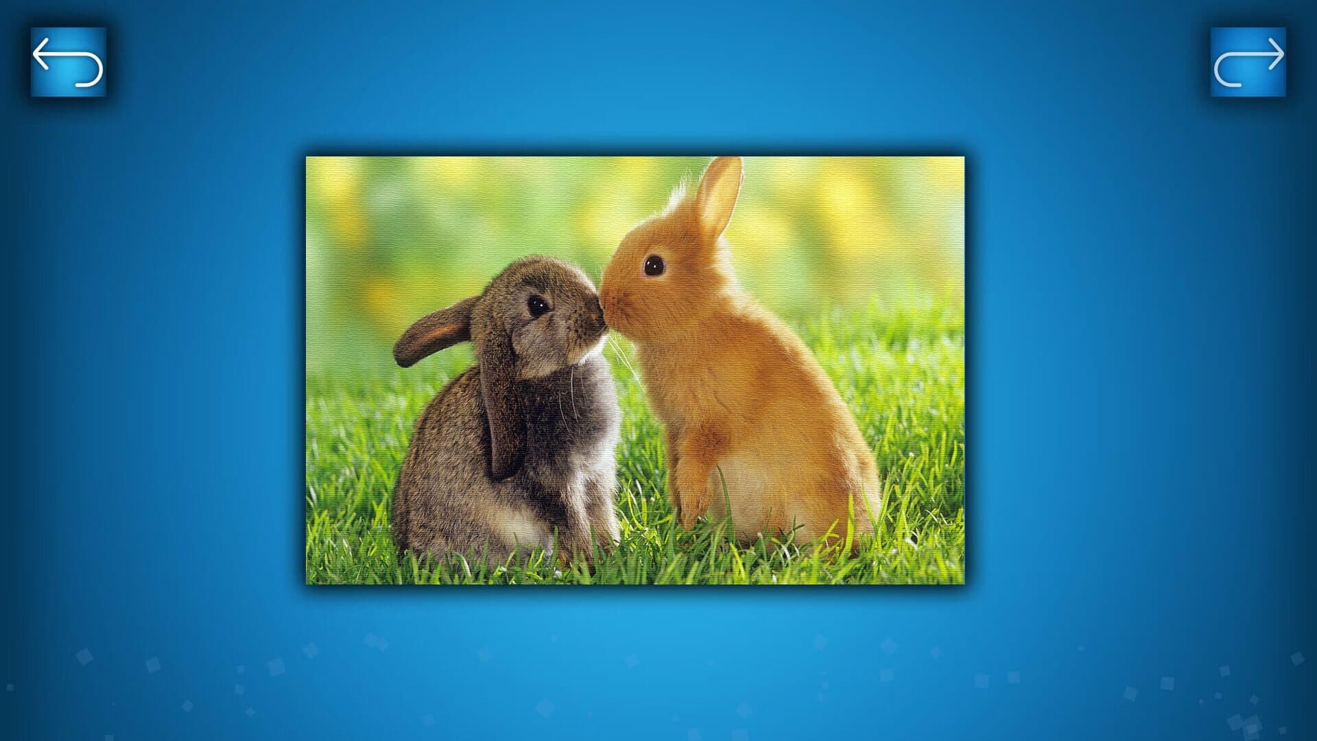 Puzzle: Animals cover art