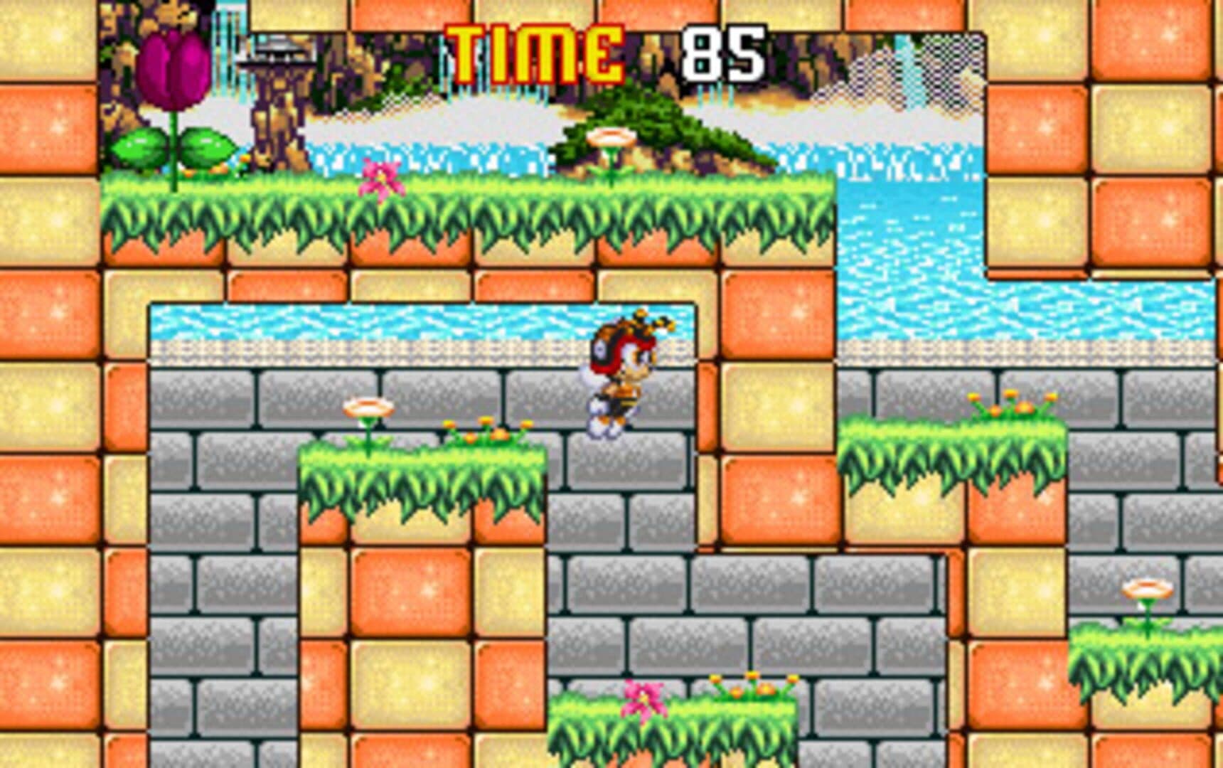 Charmy Maze cover art