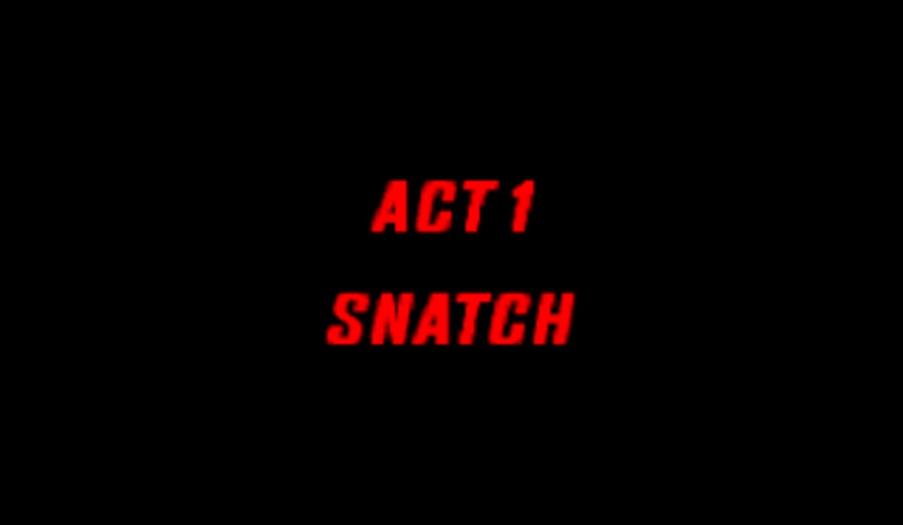 Snatcher cover art