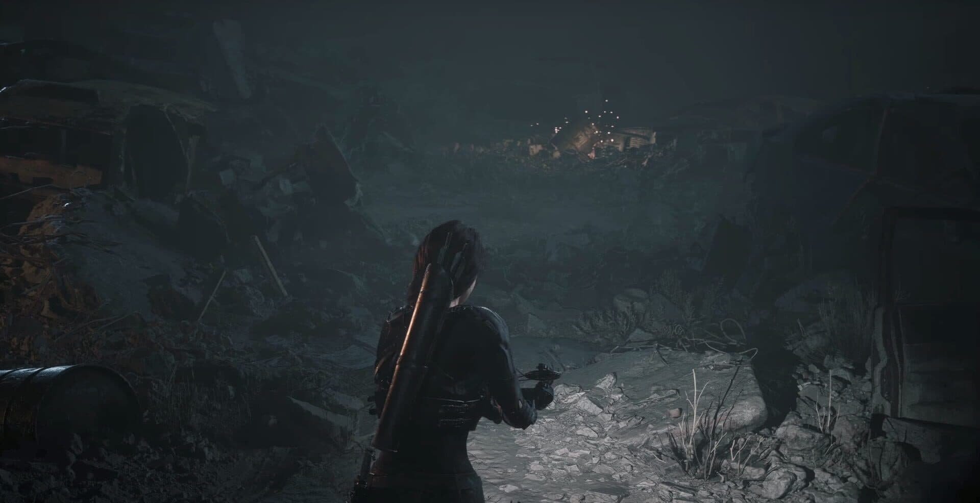 Project S cover art