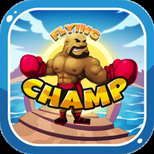 Flying Champ cover art