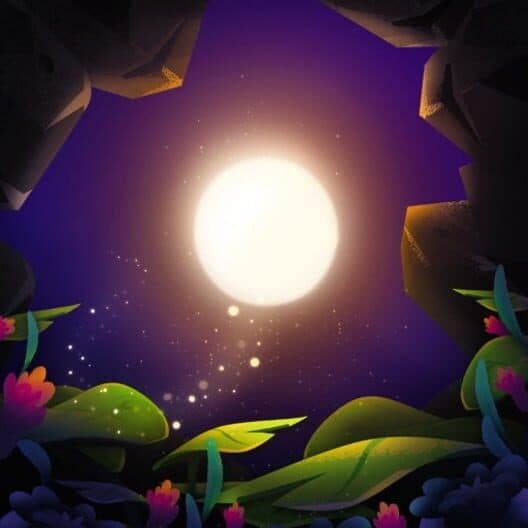 Shine: Journey of Light cover art