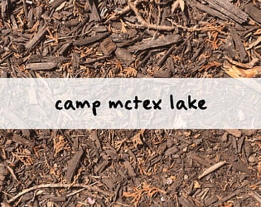 Camp McTex Lake cover art