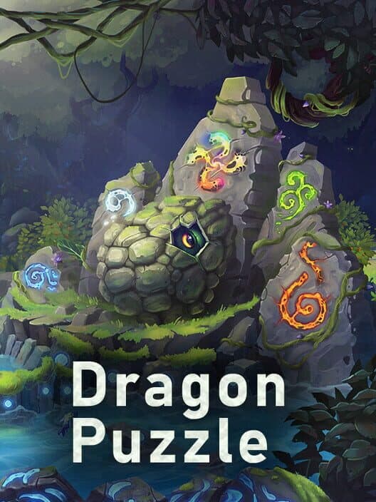 Dragon puzzle cover art