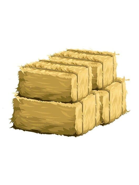 FarmWoozy cover art