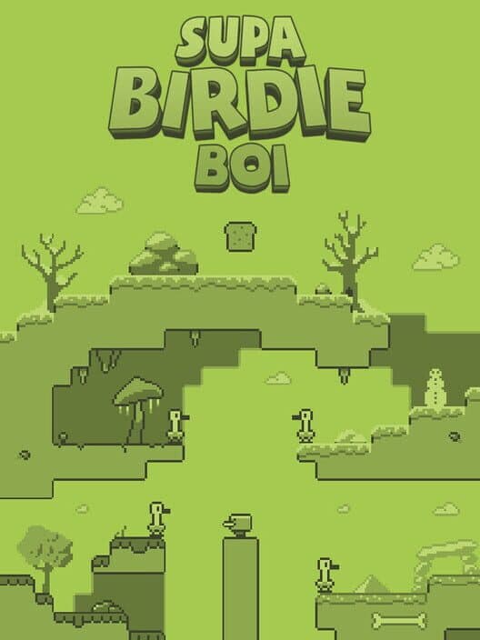 Supa Birdie Boi cover art