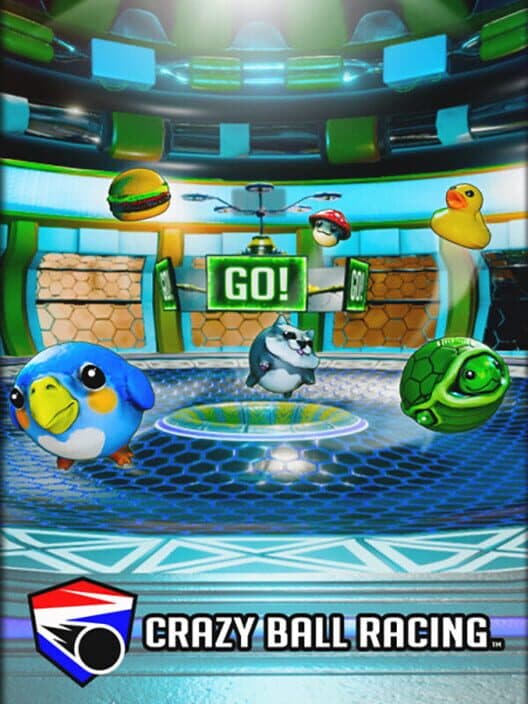 Crazy Ball Racing cover art