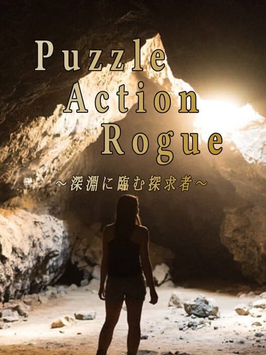 Puzzle Action Rogue cover art