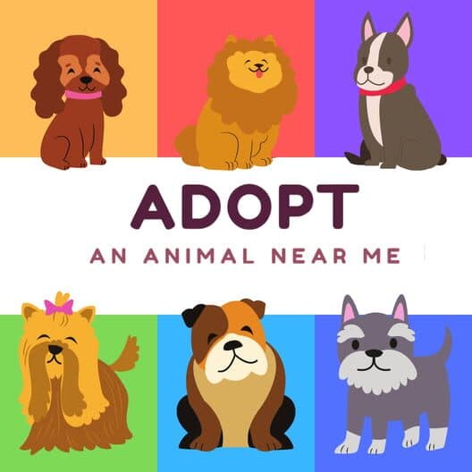 Adopt an Animal Near Me cover art