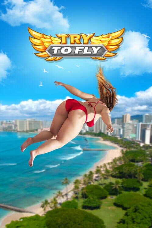 Try to Fly cover art