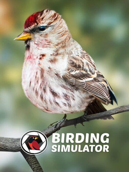 Birding Simulator cover art