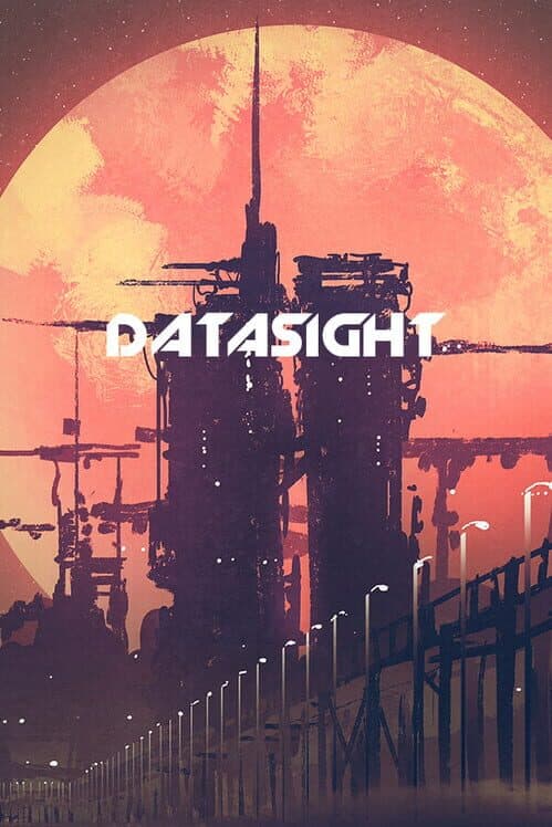 Datasight cover art