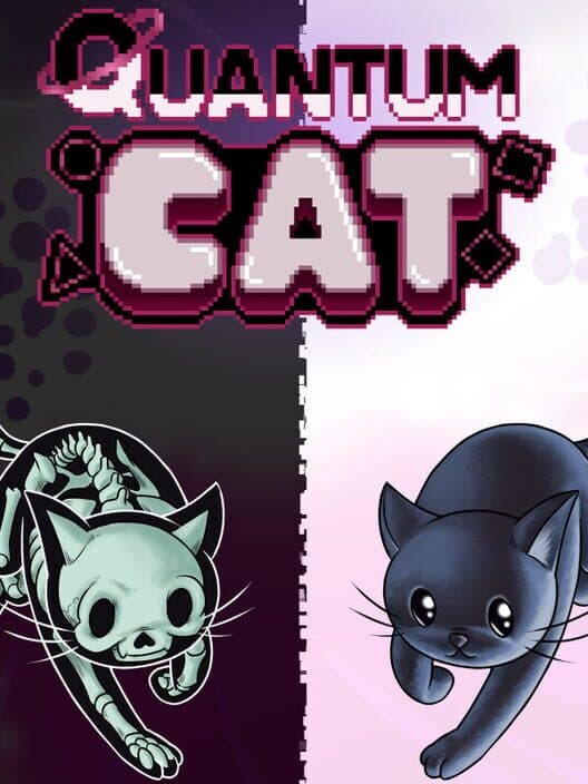 The Quantum Cat cover art