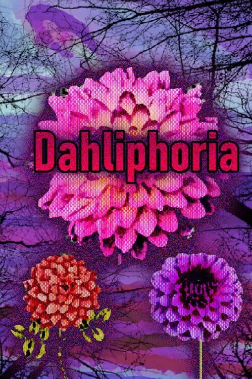 Dahliphoria cover art