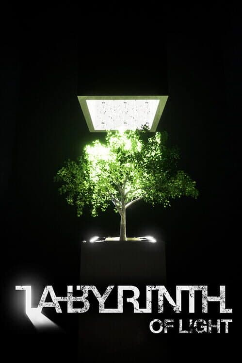 Labyrinth of Light cover art