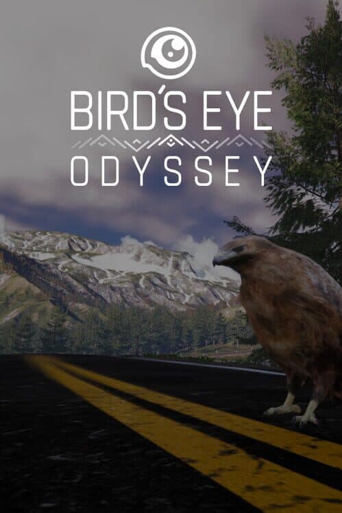 Bird's Eye Odyssey cover art