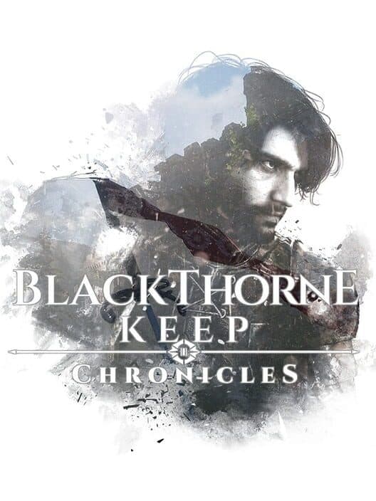 BlackThorne Keep: Chronicles cover art
