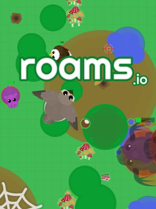 Roams.io cover art