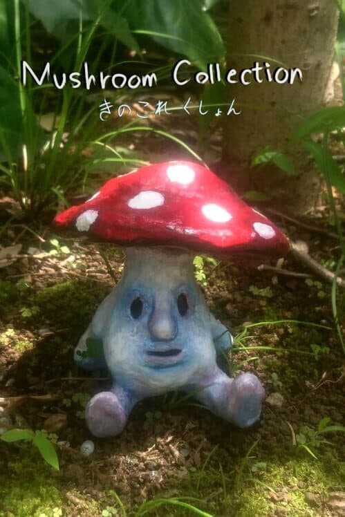 Mushroom Collection cover art