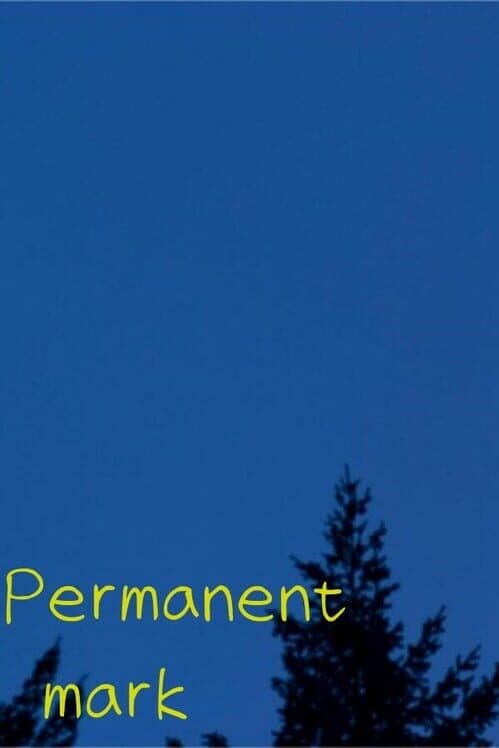 Permanent Mark cover art