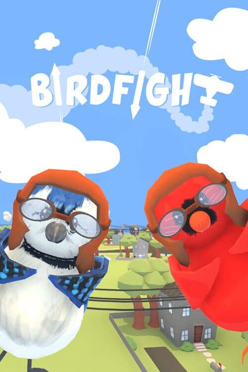 Birdfight cover art