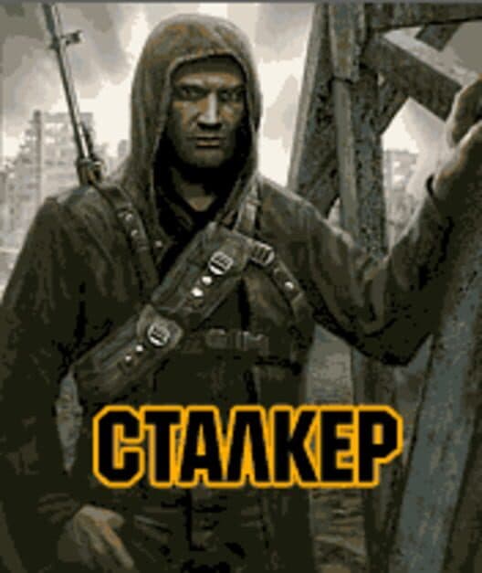 Stalker: The Way of Survival cover art