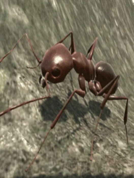 Ant Simulator 3D cover art
