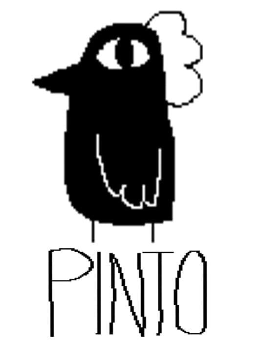 Pinto cover art