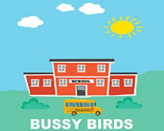 Bussy Birds cover art
