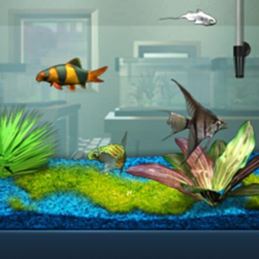 FishCo cover art