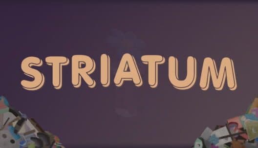 Striatum cover art