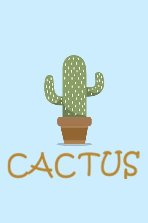 Cactus cover art
