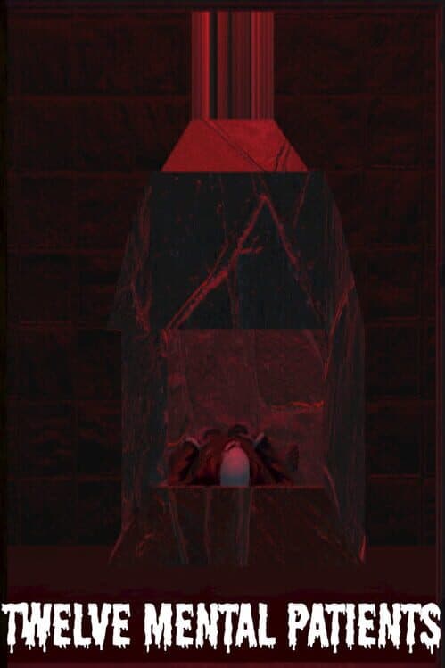 Twelve Mental Patients cover art