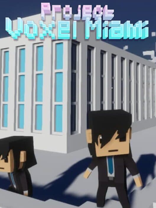 Project Voxel Miami cover art