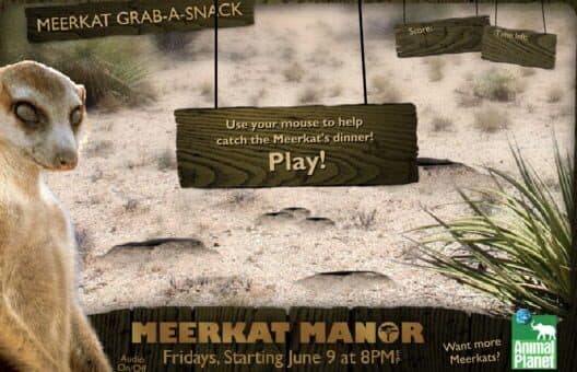 Meerkat Manor: Meerkat Grab-A-Snack cover art