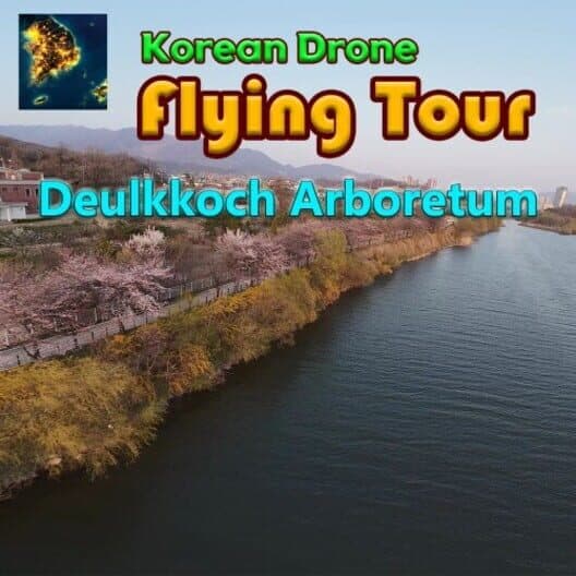 Korean Drone Flying Tour Deulkkoch Arboretum cover art