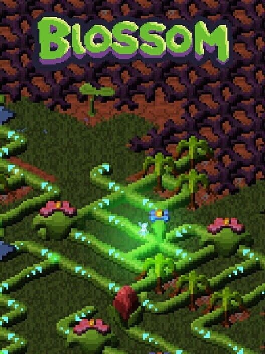 Blossom cover art