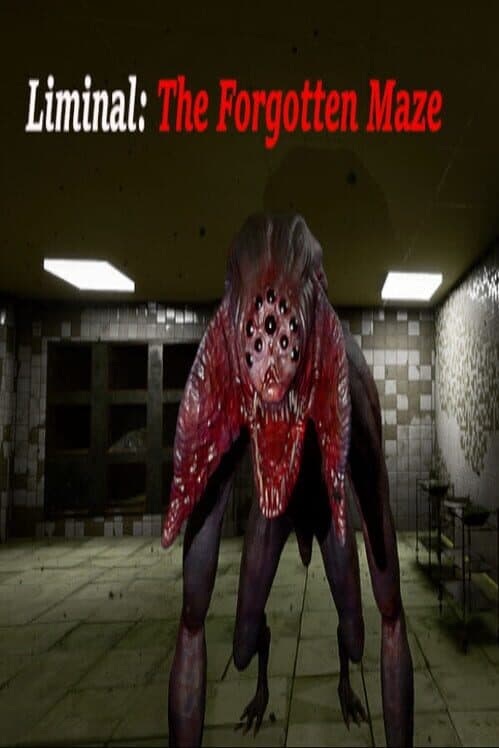 Liminal: The Forgotten Maze cover art